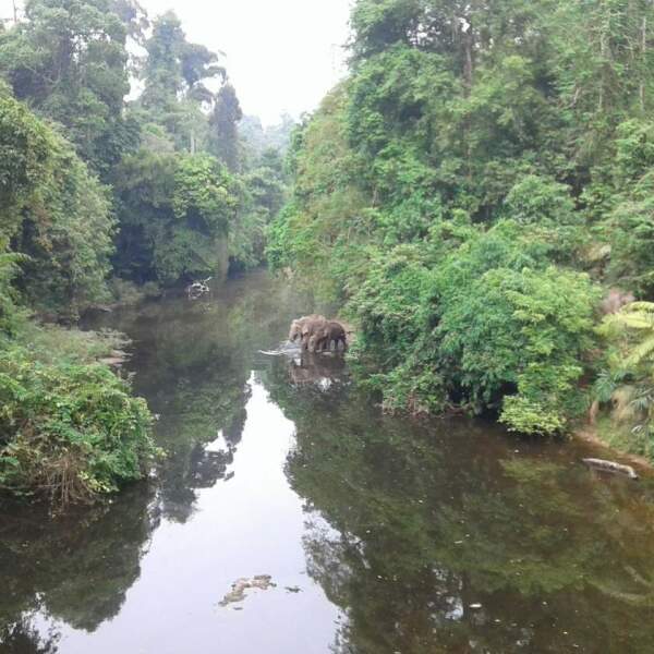 Motorradreisen Thailand Chiang Dao Wasserfälle Freizeit
